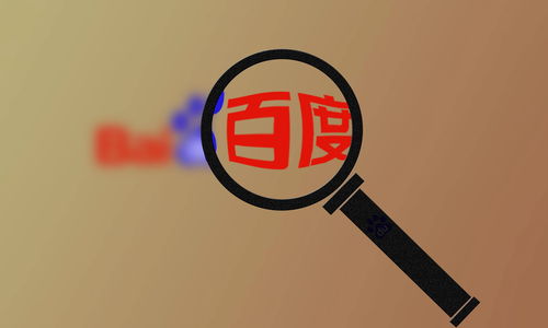 站群快排接单